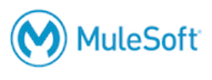 mulesoft Partner