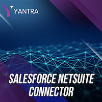 Salesforce Netsuite Connector